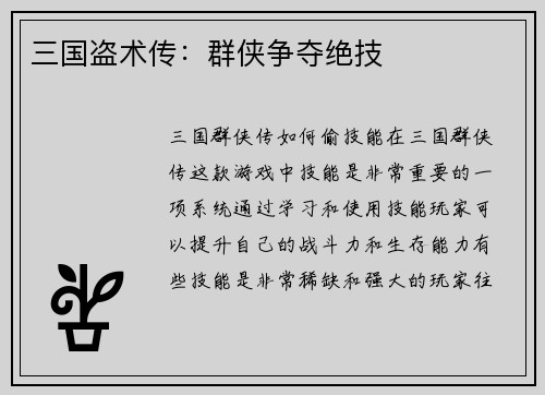 三国盗术传：群侠争夺绝技