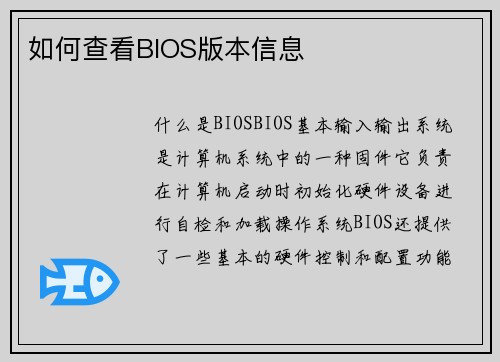 如何查看BIOS版本信息